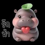หมูดุ้งฮิปโปตัวกลมใบไม้
