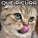 bom dia