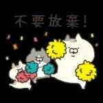 三只小猫生活日常☆ 2