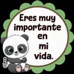 amigo 