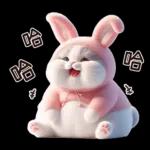 Meow Rabbit