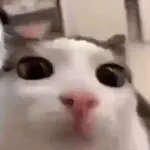 ¿Quieres una bebida?