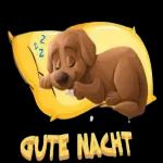 Ich bin bettfertig und sage schon mal Gute Nacht