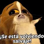 alchile🤭😎