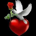 с новым днём 💖🥰💞