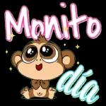 Linda noche