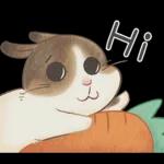 邦妮蓓蓓的日常生活