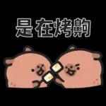 小水豚（諧音梗篇）