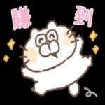 兔仔與阿貓 