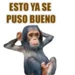 CALMAOS HIJOS DE PUTA!!!