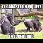 QUIERO HACER EL AMOR CONTIGO