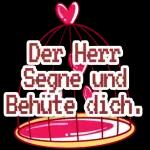 Sie werden es lieben😍😍