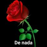 obrigada❤️🌹