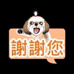 西施迪迪 (日常生活及問候篇)