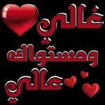 إرسلي الموقع