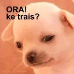 A ver una teta