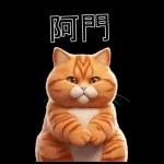 可愛的橘色肥貓!