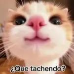 de lo q uno se enterra