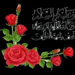 𝑴𝒊𝒙𝒙𝒆𝒅