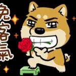 你的頭是不是被門夾到？！