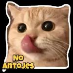jejeje 