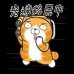 推你去曬太陽囉