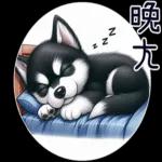 好二哈-日常白目篇