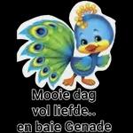 Goeie Nag.
