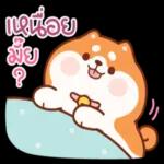 เหนื่อยไหม☕️☕️