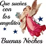 buenas noches 