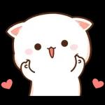 Mochi Peach Cat 2
                    
Mochi Peach Cat