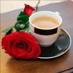 أسعد
صباحكم
بالخيروالمسرات