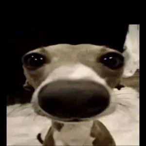 J5BzFp