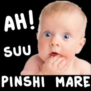 AH! SUU PINSHI MARE - getsticker.com