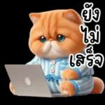 แมวขี้โมโหในชุดนอนสีอ่อน