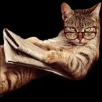 The cat is wearing glasses and reading a newspaper.