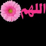 ابو صقر علوه