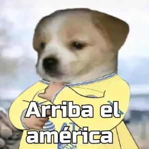 pgOTcK