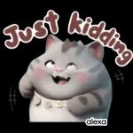 Funny Cat Stickers