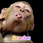 memes