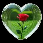 Love is the best thing in the world.