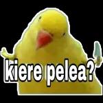 Estoy esperando 