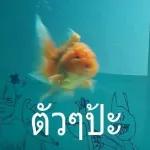 คุณถูกลบออกจากการแชทเป็นกลุ่ม