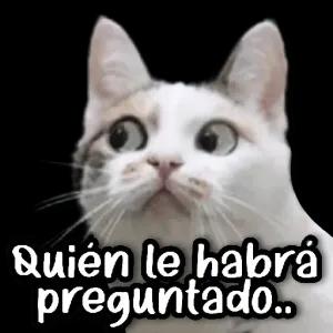 r7hqa9h