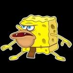 Square Pants
                            Dima HLCLL