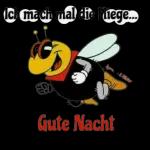 Gute Nacht