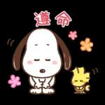 PEKO醬☆冬季繽紛