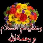 naseer