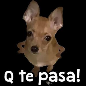 agbNPA