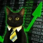 Catchain
                            Catchain